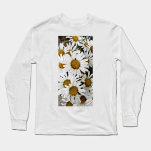 Bouquet of daisies in the garden Long Sleeve T-Shirt